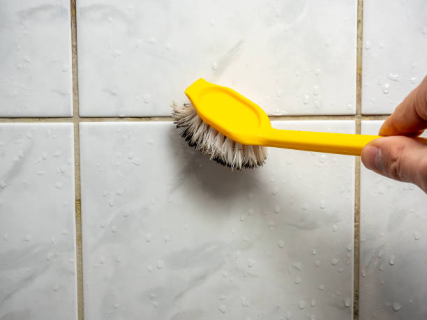 Best Commercial Mold Remediation in Buffalo, MO