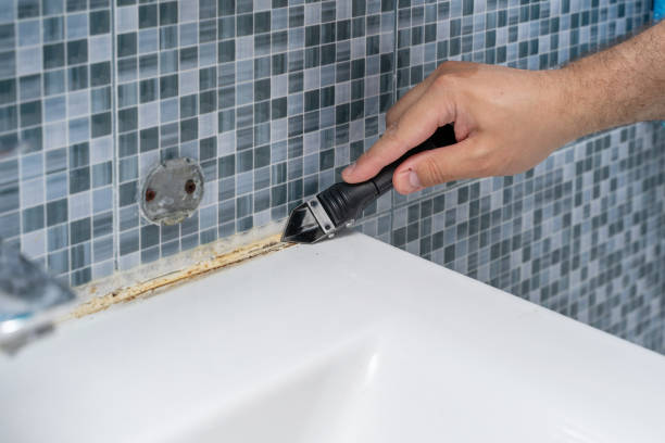 Best Industrial Mold Remediation in Buffalo, MO